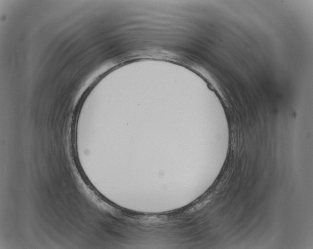 X0000083991139200703161616