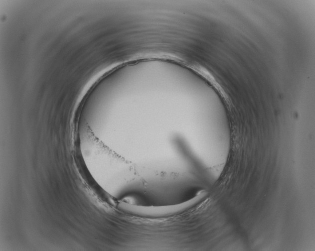 X0000083991140200703161616