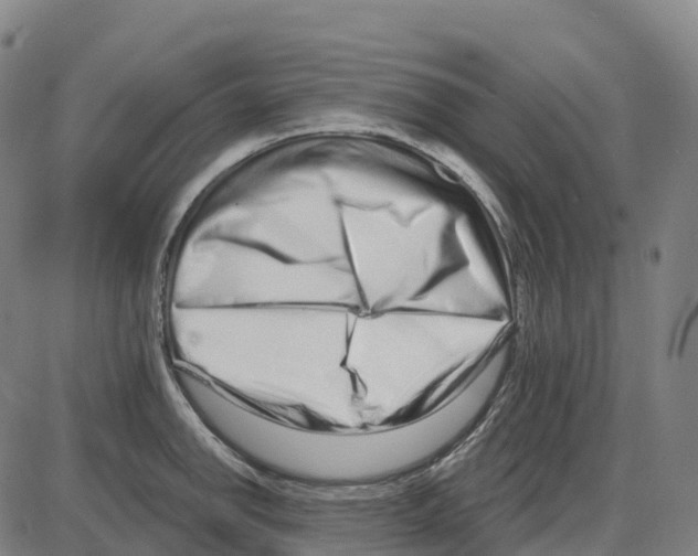 X0000083991142200703161616