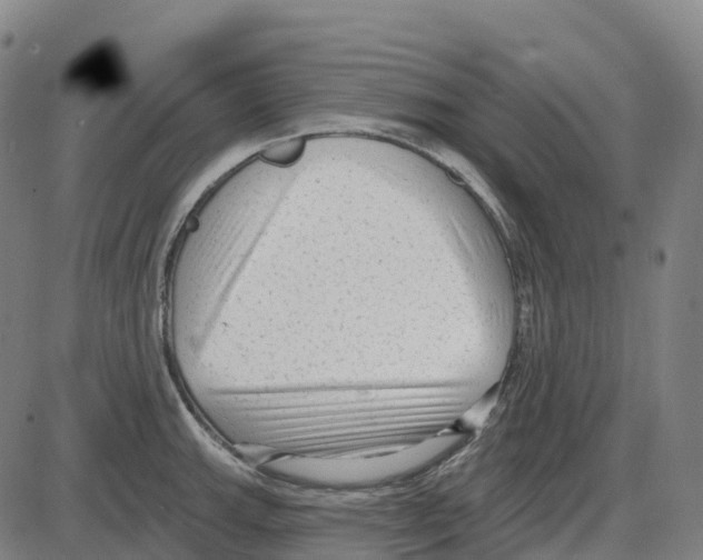 X0000083991143200703161616