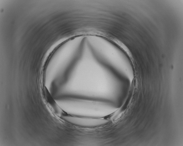 X0000083991144200703161616