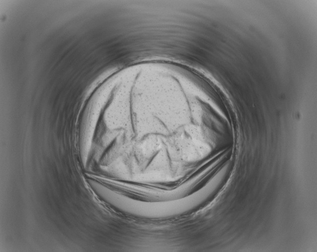 X0000083991145200703161616