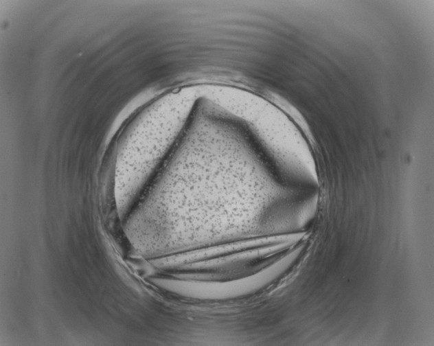 X0000083991146200703161616