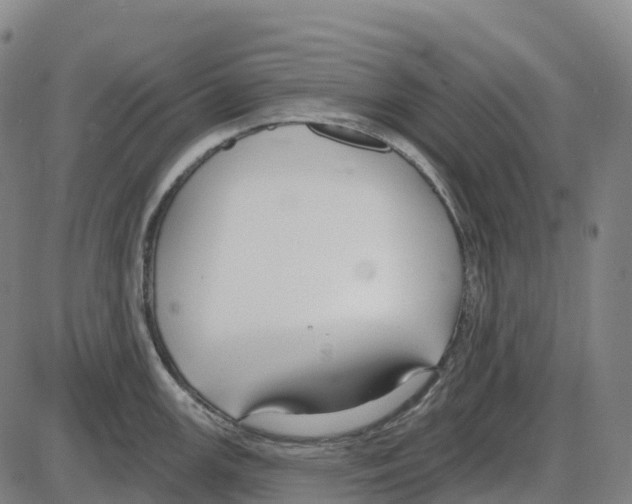 X0000083991147200703161616