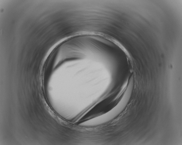 X0000083991148200703161616