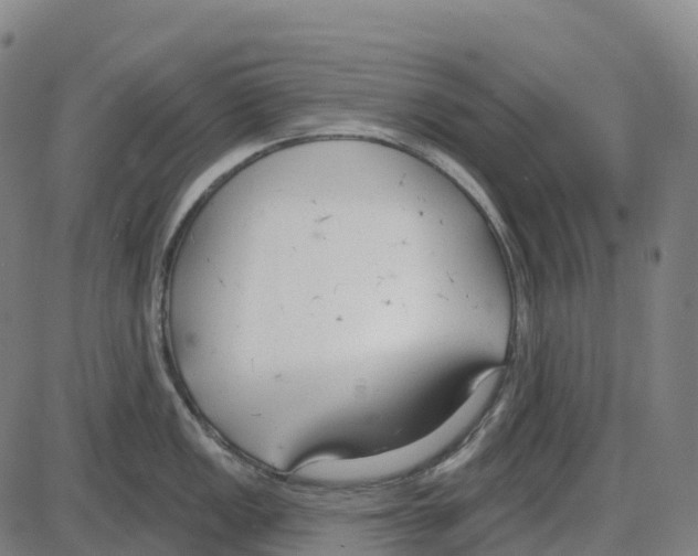 X0000083991149200703161616