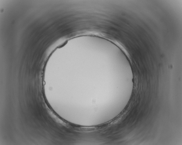 X0000083991151200703161616