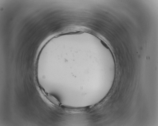 X0000083991152200703161616