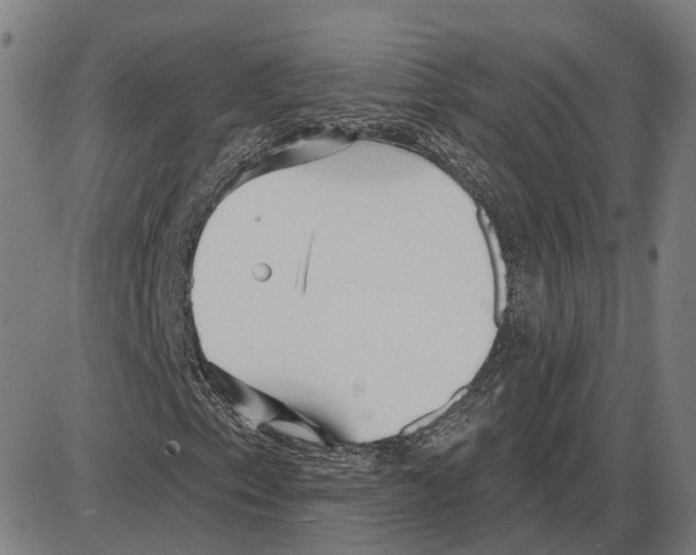 X0000083991153200703161615