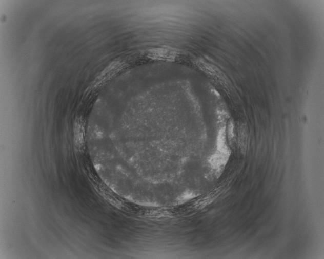 X0000083991154200703161615