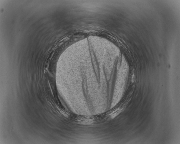 X0000083991156200703161615