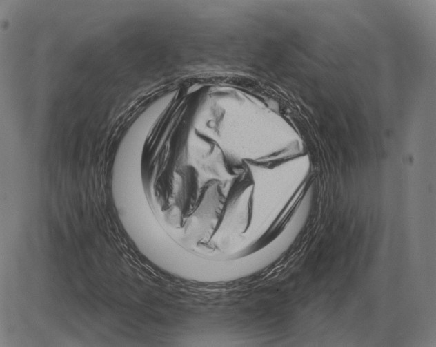 X0000083991157200703161615