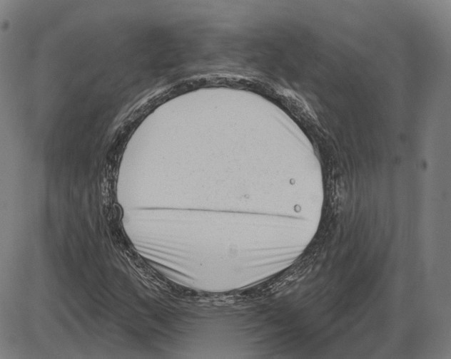 X0000083991159200703161615