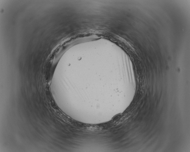 X0000083991160200703161615