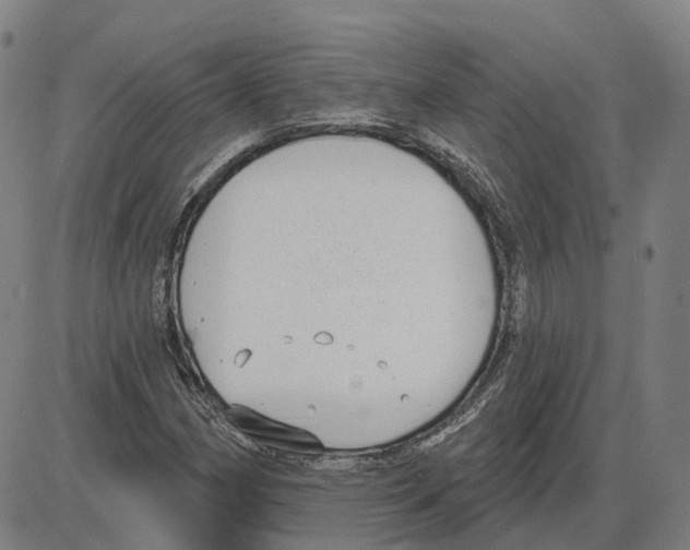 X0000083991162200703161615