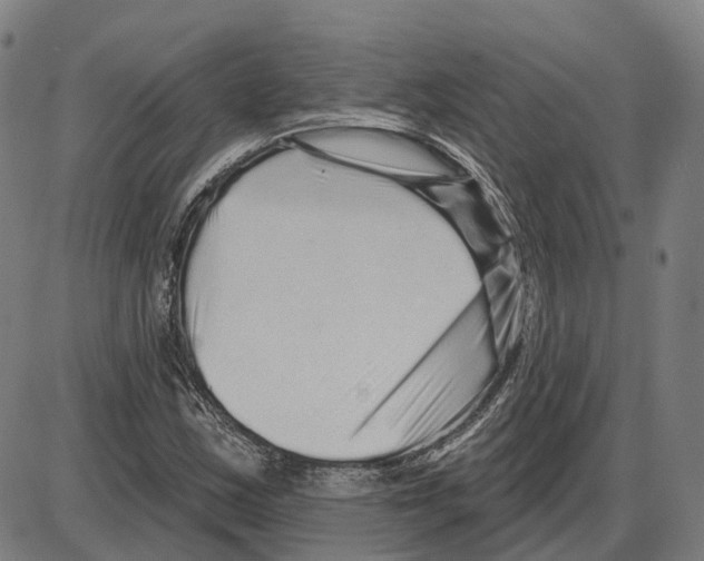 X0000083991163200703161615