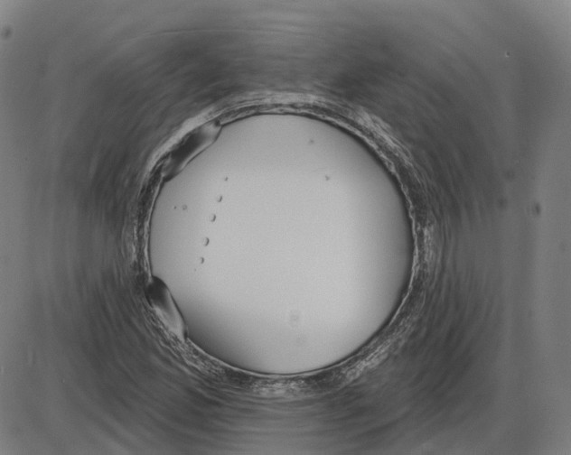 X0000083991165200703161615