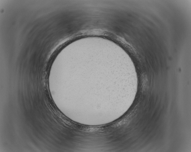 X0000083991166200703161615