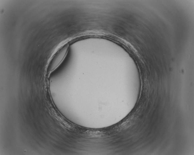 X0000083991168200703161615