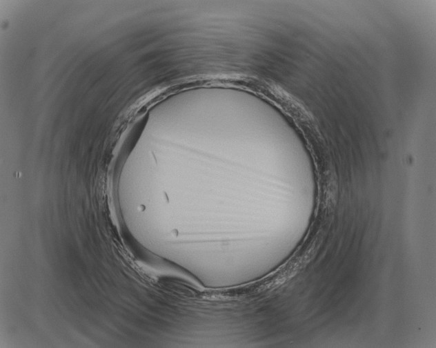 X0000083991169200703161615