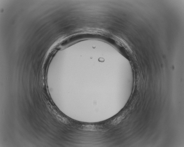 X0000083991172200703161615