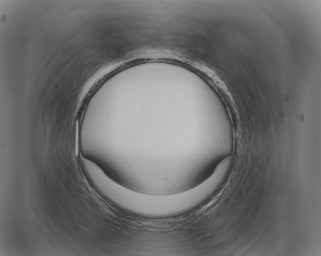 X0000083991175200703161615