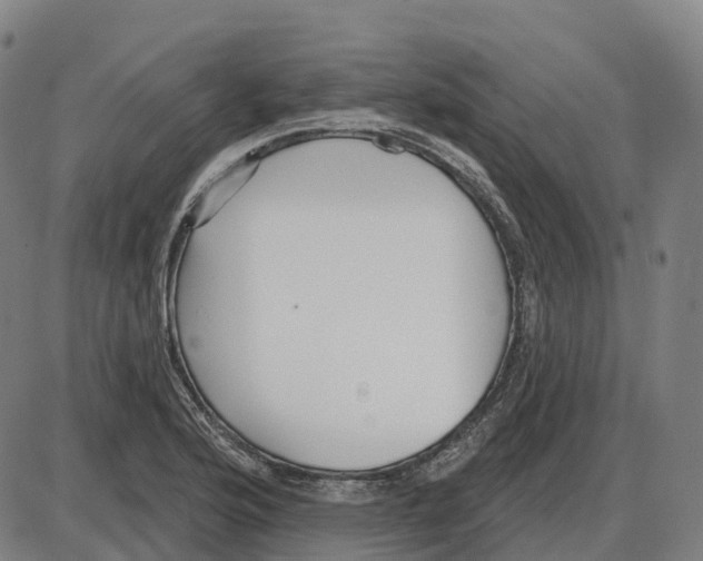 X0000083991176200703161615