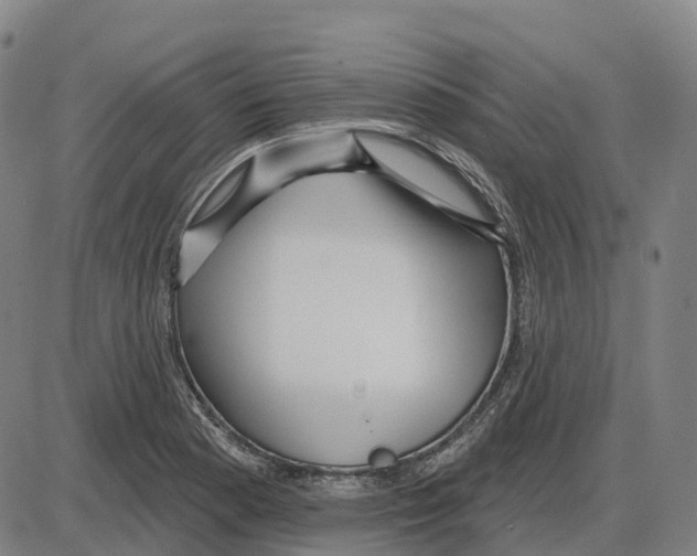 X0000083991177200703161615