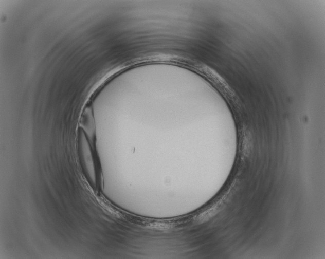 X0000083991178200703161615