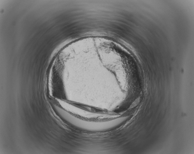 X0000083991179200703161615