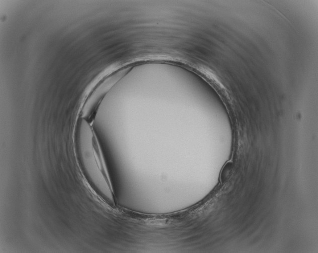 X0000083991181200703161615