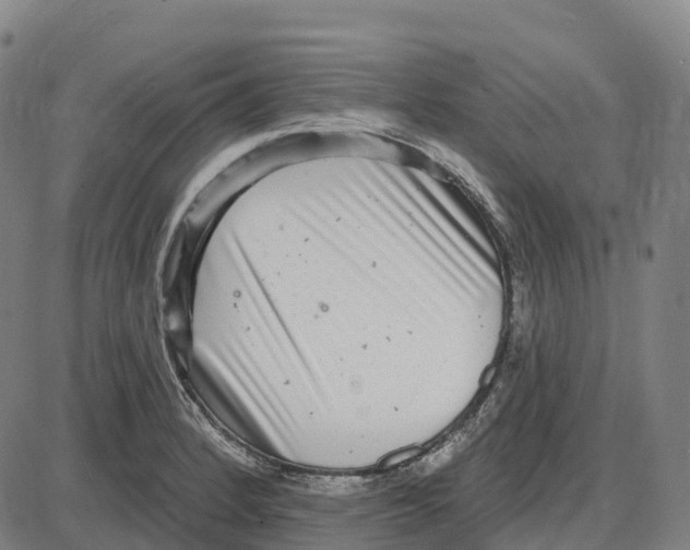 X0000083991184200703161615