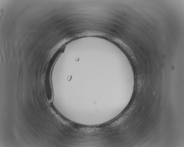 X0000083991185200703161615