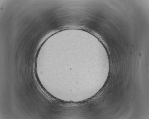 X0000083991187200703161615