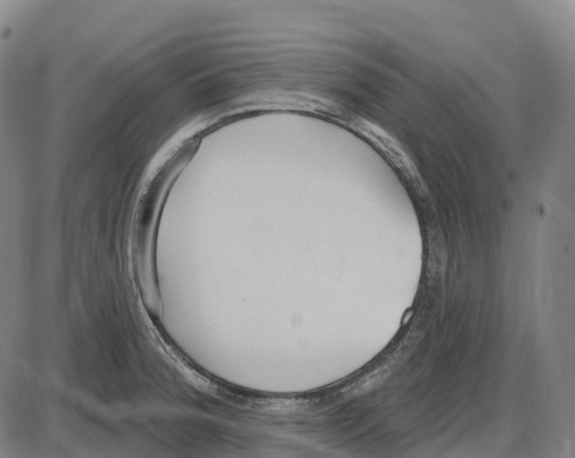 X0000083991188200703161615