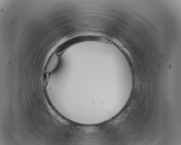 X0000083991189200703161615