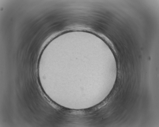 X0000083991191200703161615