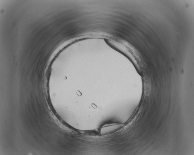 X0000083991192200703161615