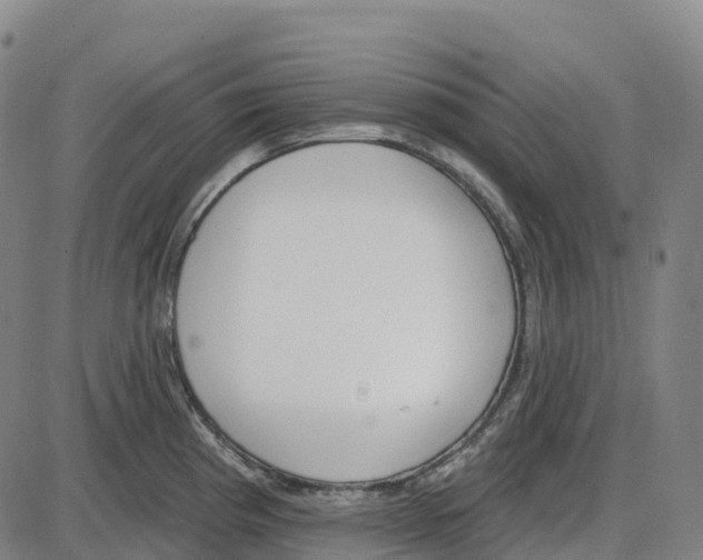 X0000083991193200703161615