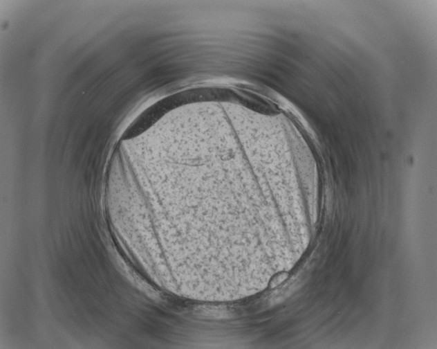 X0000083991194200703161615