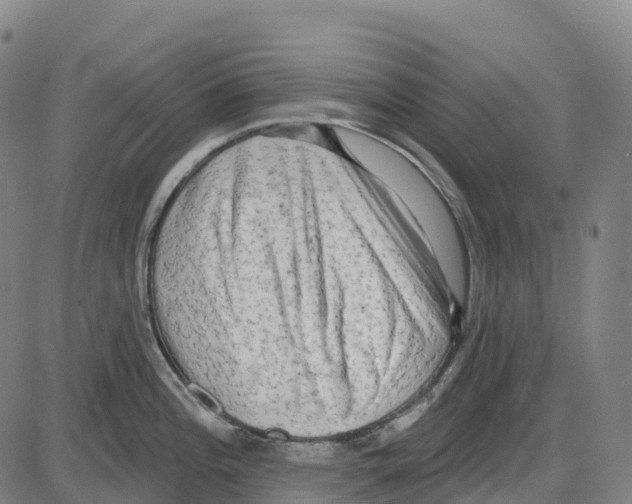 X0000083991196200703161615