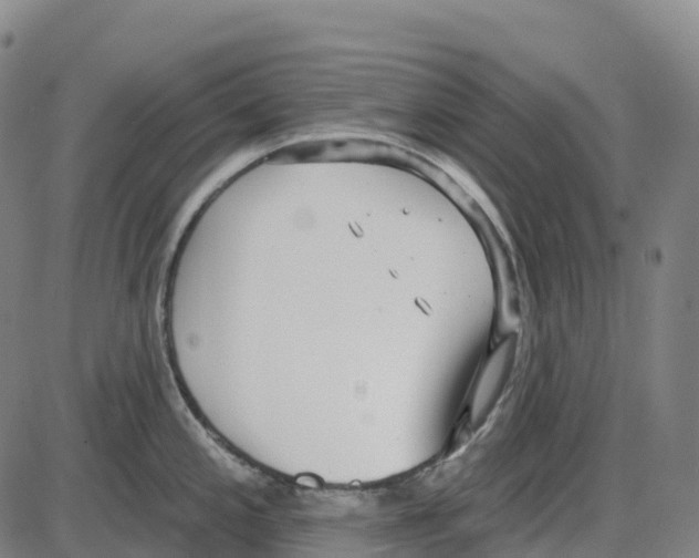 X0000083991197200703161615