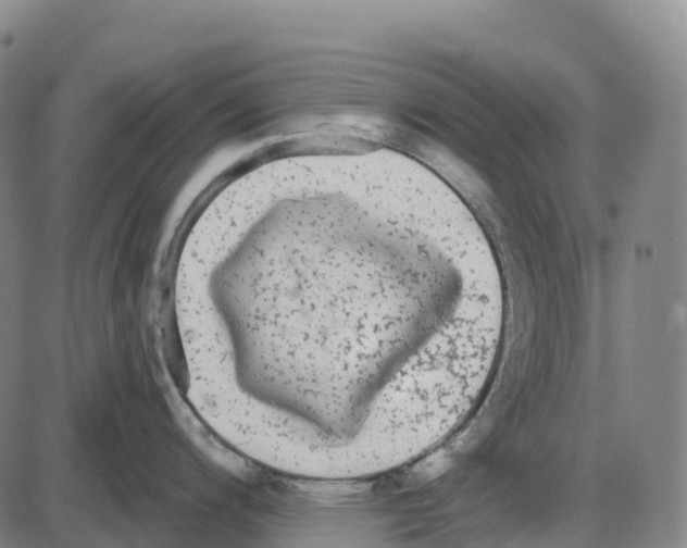 X0000083991200200703161615