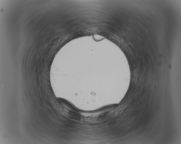 X0000083991201200703161614