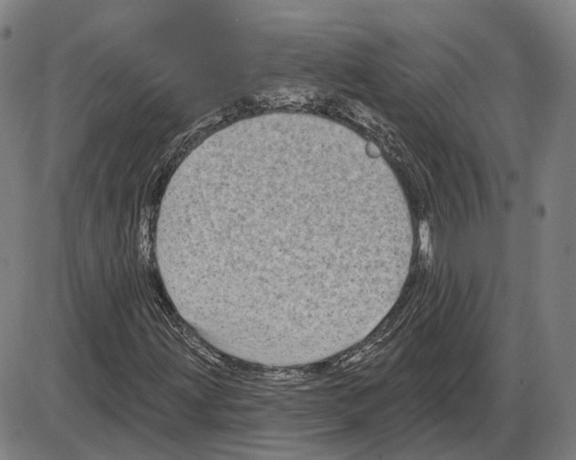 X0000083991203200703161614