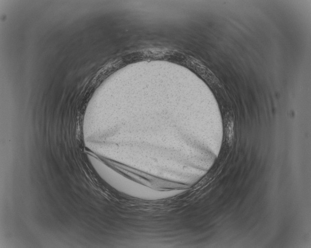 X0000083991204200703161614