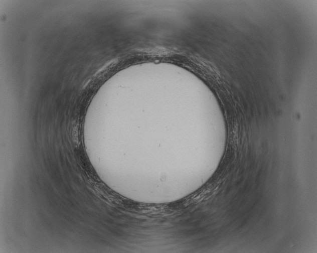 X0000083991205200703161614