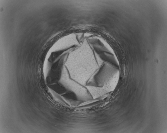 X0000083991206200703161614