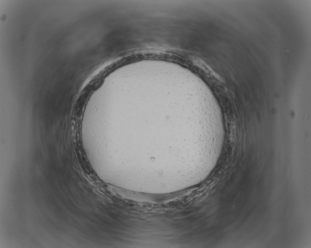 X0000083991208200703161614