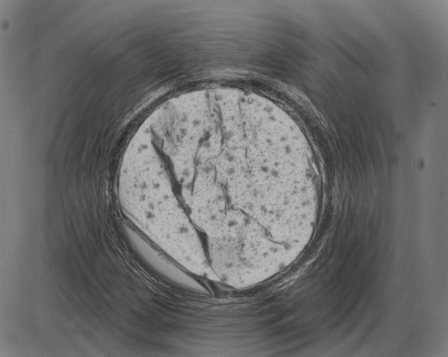 X0000083991209200703161614